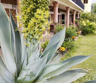 Tepoztlan Hotel | Calli Sofi Posada