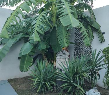 Reynosa Apartment | Casa amueblado para estancias largas
