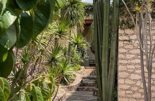 Guanajuato House | Casa Barranqueña