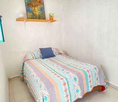 Downtown Queretaro House | casa camelina