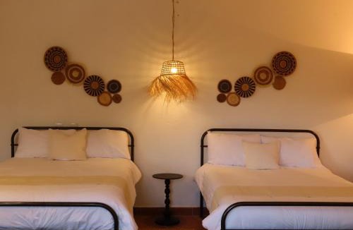 Colonia Caracol House | Casa Espiral
