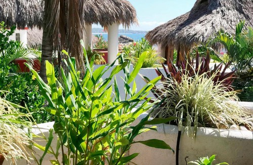 Hidalgo House | Casa Estefania