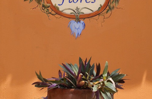 San Francisco House | Casa Flores - under new mgmt. See 'About This Property' below for more details.