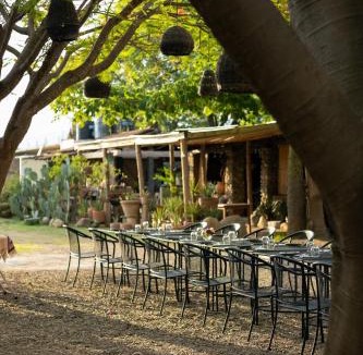 Teotitlan del Valle Bed & Breakfast | Casa Gulal
