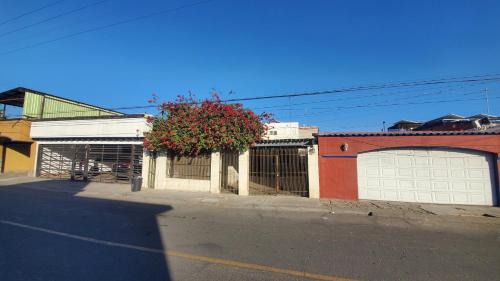 Mexicali House | Casa Jardines