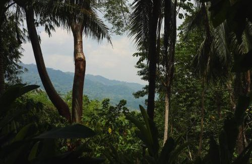 Palenque Hotel | Casa Lakyum