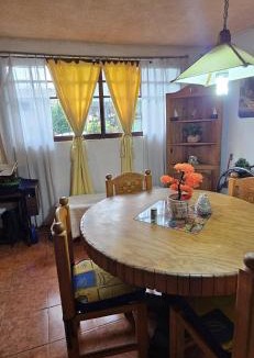 Coyoacan House | Casa Lulú