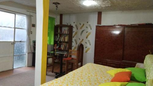 Coyoacan House | Casa Lulú