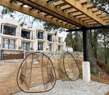 Zacatlan House | Casa Madera Completa