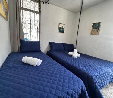 Zona 12 House | CASA MAGNOLIA
