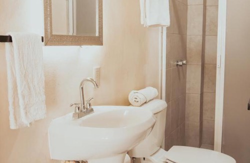 Leon Centro Apartment | Casa María Teresa Suites