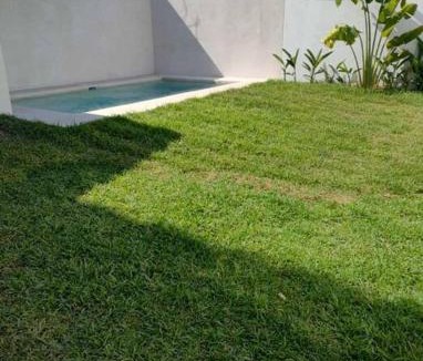 Bacocho House | Casa Maya, tu escape con alberca privada