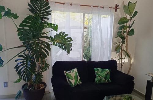 Valle de Banderas House | Casa Monstera Bahia