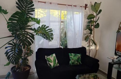 Valle de Banderas House | Casa Monstera Bahia
