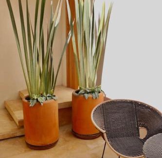 Centro Apartment | Casa Nova Centro Oaxaca - Adults Only