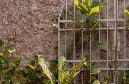 Centro House | Casa Perro Verde very close to Paseo de Montejo