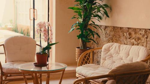 Centro Bed & Breakfast | Casa Sofía Centro