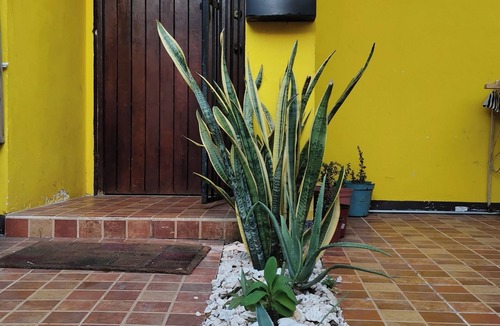 Downtown Cancun Apartment | Casa Tortuga En Cancún