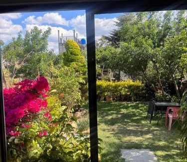 De Guadalupe House | Casa79sancris