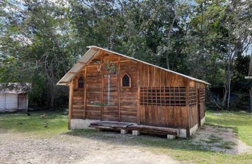Escarcega Other | CASADOS RANCH