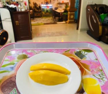 Cat Ba House | Cat Ba Mystery Homestay
