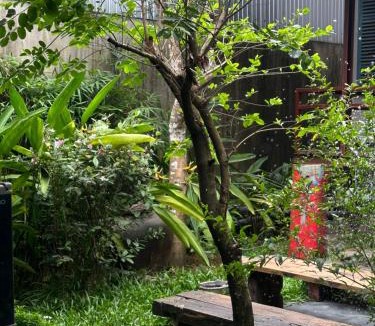 Thuy Xuan Apartment | Cat Homestay
