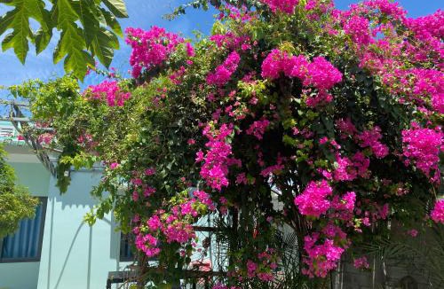 Phan Rang - Thap Cham House | Chanh's House