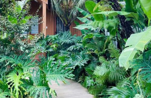 Buon Ma Thuot Hotel | Cherry HomeStay & coffee