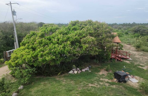 Isla Navidad Cabin | Cocolisso Cabaña