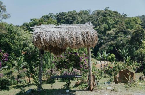 Kon Plong Other | COI NGUON FARM GLAM Mang Den