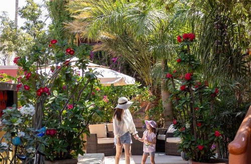 Centro Hotel | Collection O Casa Bella Hotel Boutique, Cabo San Lucas
