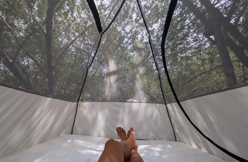 Mazunte Other | Commodity Camping Corazon Mazunte - Sol