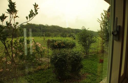 Ruisui Bed & Breakfast | Countryside B&B