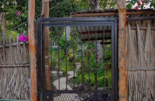 Cozumel Cabin | Cozumel Jungle Cabin