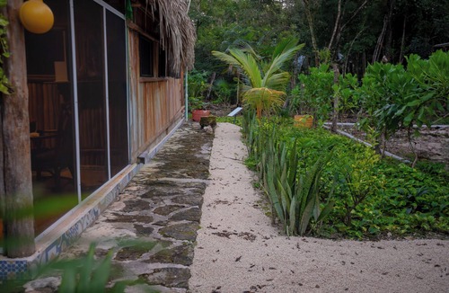 Cozumel Cabin | Cozumel Jungle Cabin