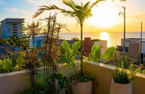Colonia Centro Apartment | Cozumel NEW Siesta Studio: 1BR/Wi-Fi/AC/Noise Proof/With View