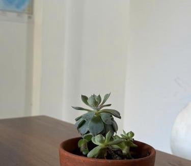 Bao Loc House | Dương Cầm Homestay