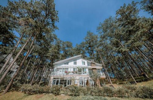Da Lat Apartment | Dahlia Dalat