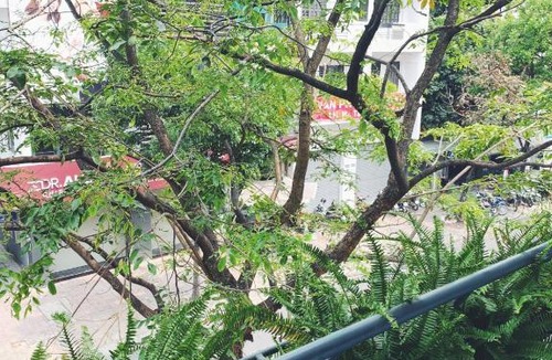 Phuong 6 House | Daisy's Guest House
