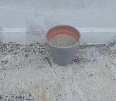 Tampico Apartment | Depa amplio PB con estacionamiento 7 personas
