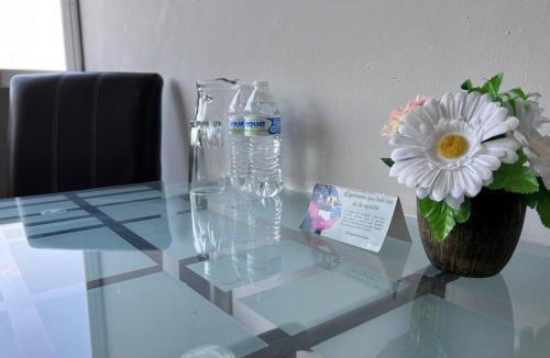 Orizaba Apartment | Depa doble centrico con Restaurante Terraza