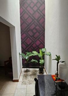 San Antonio de la Cal Apartment | Depa Púrpura Caracol