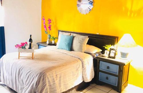 Guanajuato Apartment | Departamento centrico - Pikachos House -