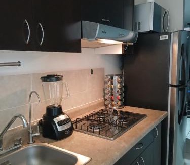 Leon Apartment | Departamento Ganges