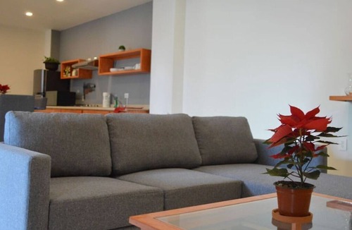Fresnillo House | Departamento Ilustre