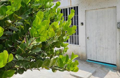 San Jose Ixtapa House | Departamento Turquesa