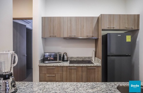 Centro Historico Apartment | Department Zuñiga 102