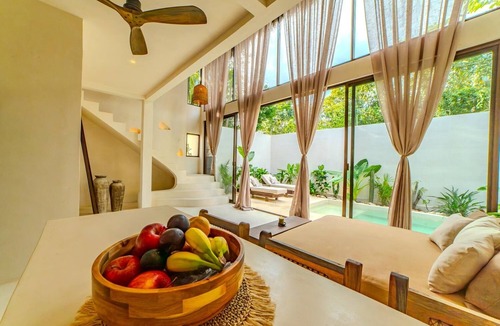 La Veleta House | Design Villa With Palapa Roofs, High Ceilings and 9 Meters private Pool