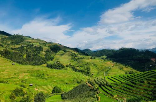 Mu Cang Chai House | Do Gu Homestay