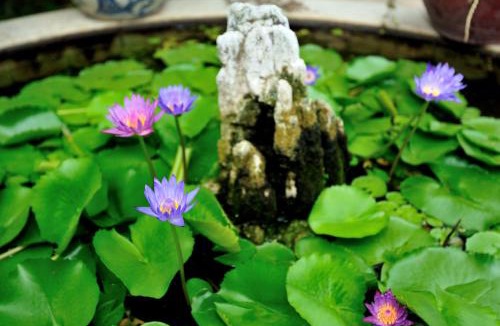 Chau Doc Hotel | Dong Xanh Hotel